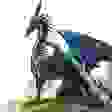 Lancelot