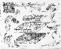 1.thumb.jpg.2b814ee75c4bb60a7c6cd144bc12