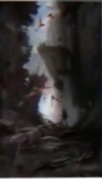 falaise.thumb.jpg.2751eed69761134049d4b1