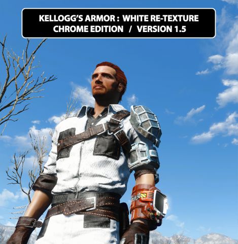 KELLOG'S-ARMOR-RE-TEXTURE,-Face--Chrome-edition-version-1.5.jpg