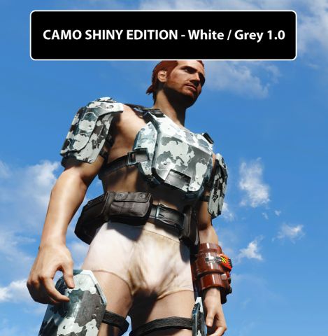 CAMO-SHINY-EDITION-WHITE-GREY-1.0.jpg