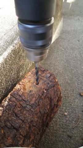 20160219_160727.thumb.jpg.5f52409774aaf0