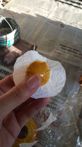 20160219_165719.thumb.jpg.be2d2ee92a9455