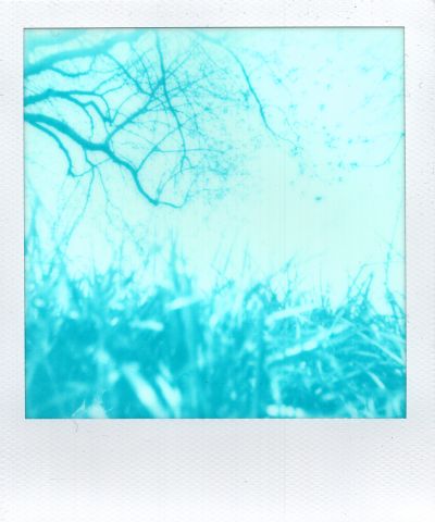 IMG2.jpg