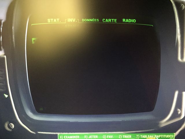 Pip boy bug.JPG