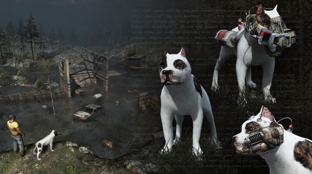 companion.jpg
