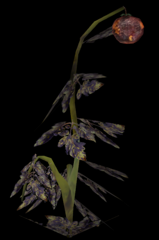 Tomatocrop.thumb.png.bf180dcf6ac699a03c208c59f9567476.png
