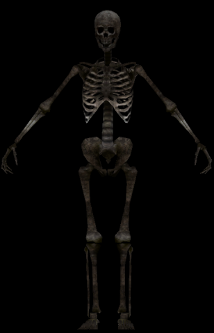 Skeletonmalenaked.thumb.png.aaabb54f0f2277b333089edb4fe3954a.png