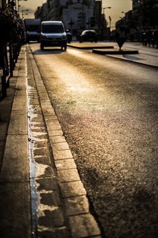 _DSF2191.thumb.jpg.94f6717add204ca4b10483c837d57b5b.jpg