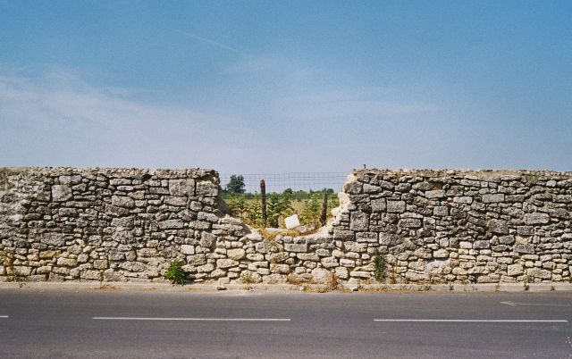 F1000026.jpg