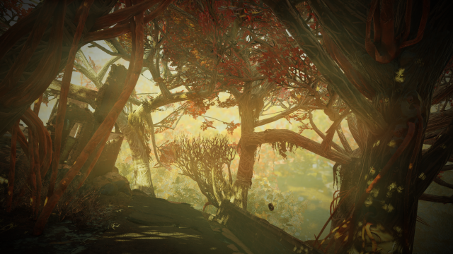 Terrain de jeu