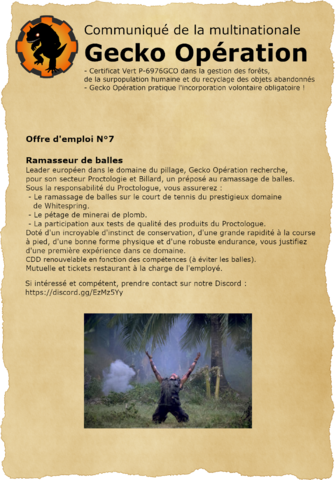 007 - Offre d'emploi - Ramasseur de balles.png