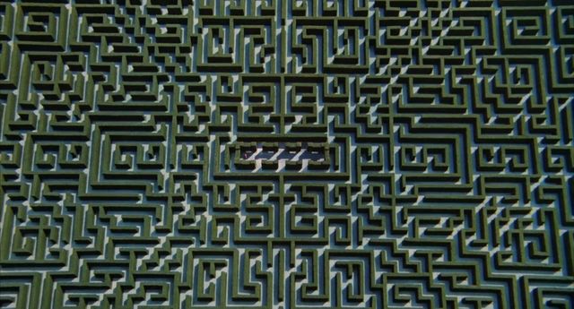 Labyrinthe végétal.JPG