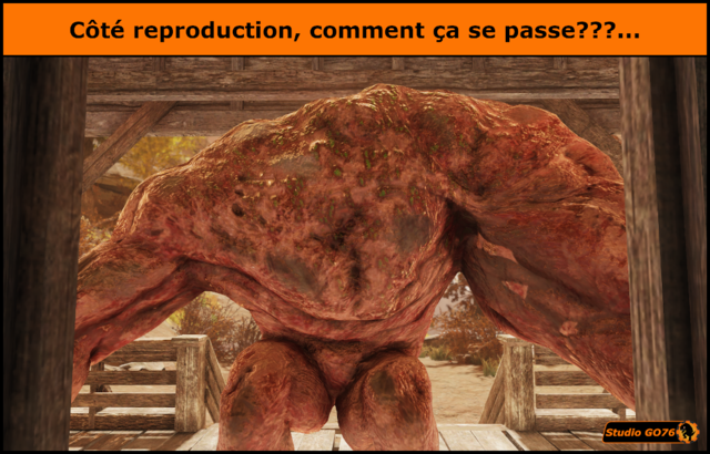 Côté reproduction.png