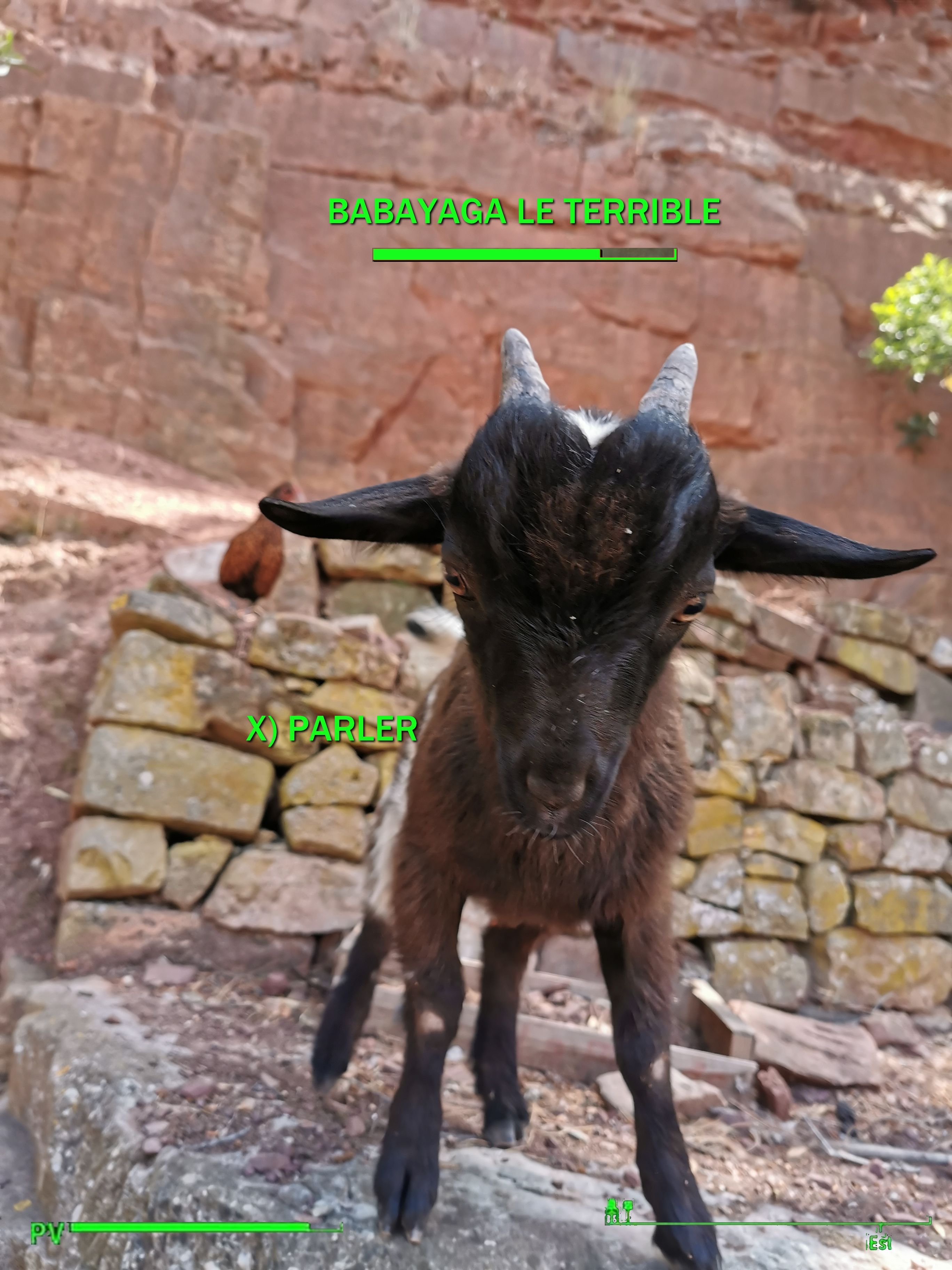 Message d'habitant d'abri
