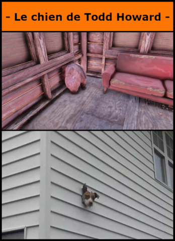 Le chien de Todd Howard.png