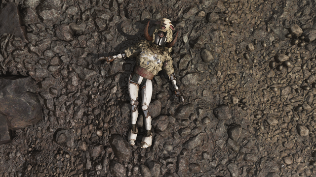 016 - Carcasse.png