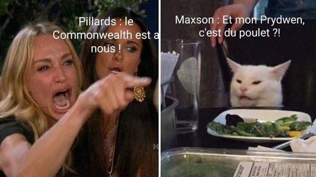 womanyellingcat2.jpg