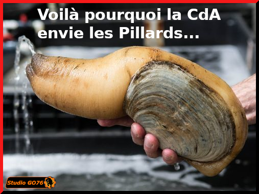 013 - Pq la cda nous envie.png