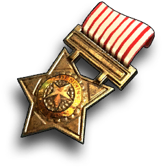 Icon_Trinket_StarOfBravery.png