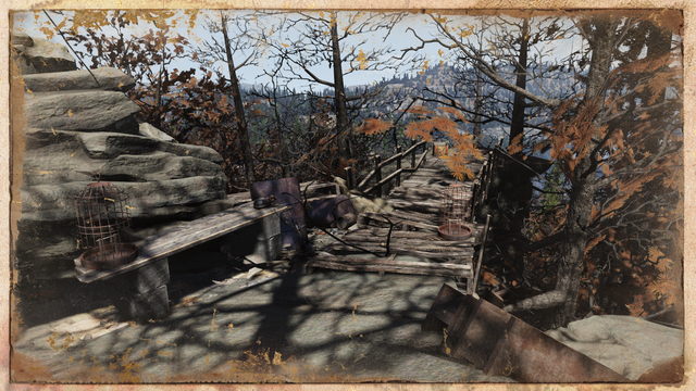 Photo_2021-11-07-135535.png