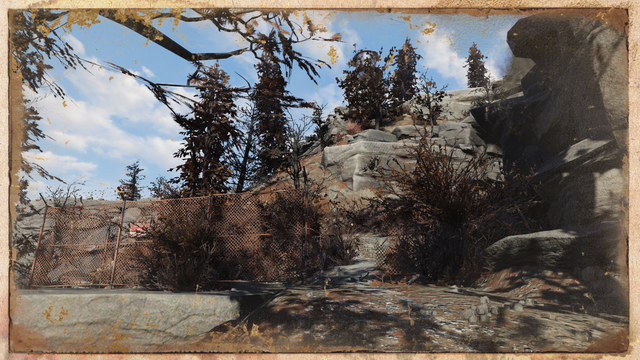Photo_2021-11-07-140403.png