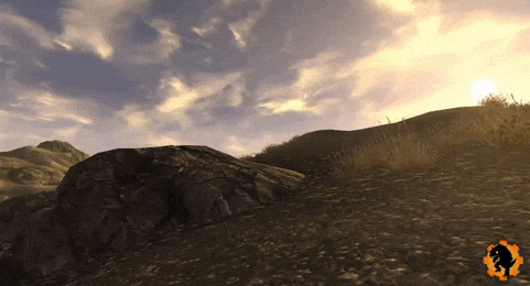 GeckoFNVB0004 - Coyote.gif