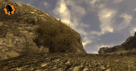 GeckoFNVB0007 - Gecko de feu.gif
