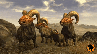 GeckoFNVB0009 - Grande corne.gif