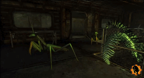 GeckoFNVB0011 - Mante.gif