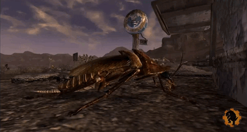 GeckoFNVB0014 - Radcafard.gif