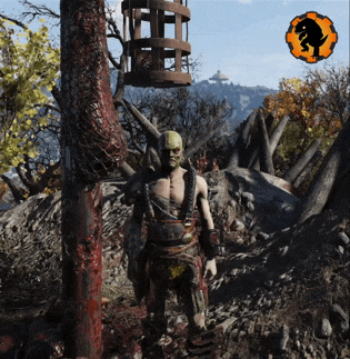 GeckoM0001 - Salut.gif