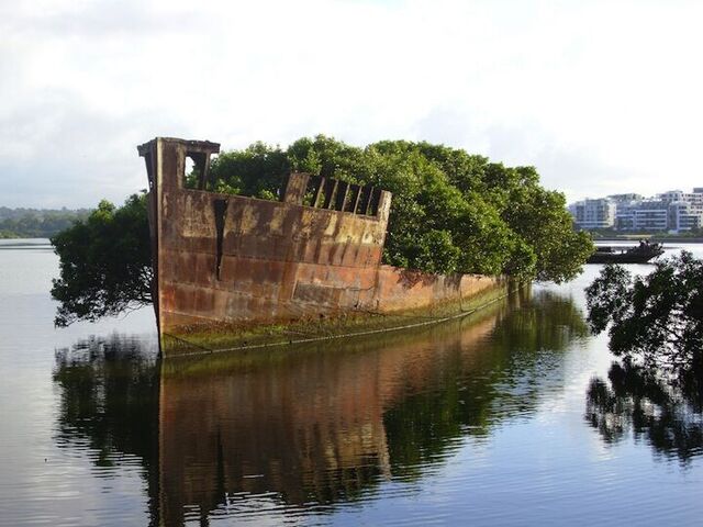 Fallout Génération - Urbex - 025 - Bateau - L’épave du SS Ayrfield, construit en 1911 au Royaume Uni et qui s’est échoué dans les années 70 dans la Homebush Bay, près de Sydney..jpeg