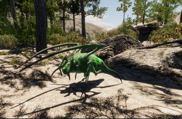 insect004.png