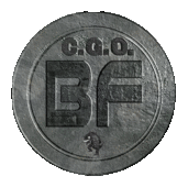 Gif - Battlefield CGO - 002 Petit.gif