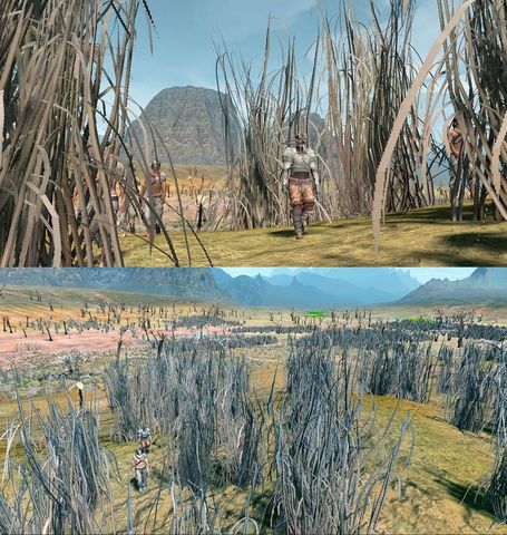 grass.jpg