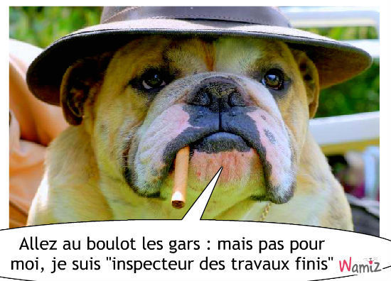 travail-77751.jpg